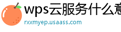 wps云服务什么意思